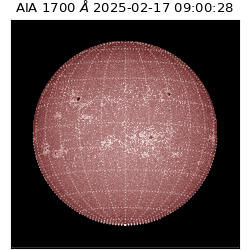 saia - 2025-02-17T09:00:28.721000