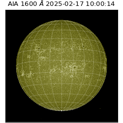 saia - 2025-02-17T10:00:14.126000
