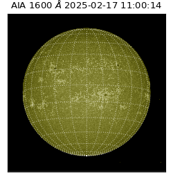 saia - 2025-02-17T11:00:14.126000