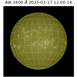 saia - 2025-02-17T12:00:14.126000