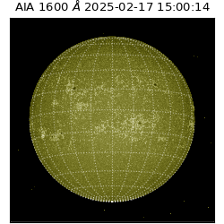 saia - 2025-02-17T15:00:14.126000