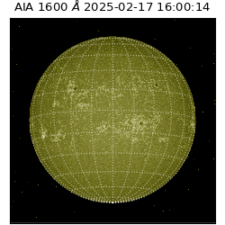 saia - 2025-02-17T16:00:14.126000