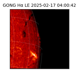 gong - 2025-02-17T04:00:42