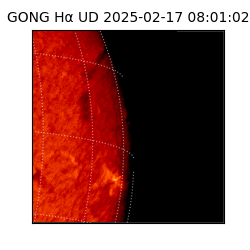 gong - 2025-02-17T08:01:02