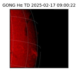 gong - 2025-02-17T09:00:22