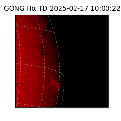 gong - 2025-02-17T10:00:22