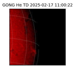 gong - 2025-02-17T11:00:22