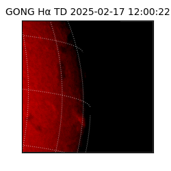 gong - 2025-02-17T12:00:22