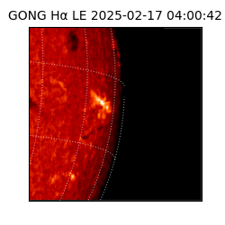 gong - 2025-02-17T04:00:42