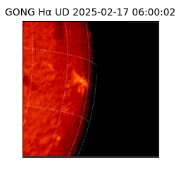 gong - 2025-02-17T06:00:02