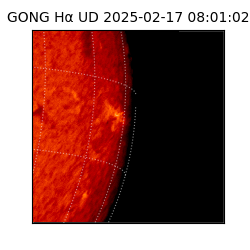 gong - 2025-02-17T08:01:02