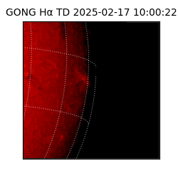 gong - 2025-02-17T10:00:22