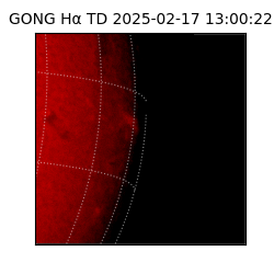 gong - 2025-02-17T13:00:22