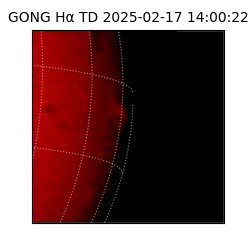 gong - 2025-02-17T14:00:22