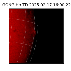 gong - 2025-02-17T16:00:22