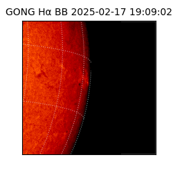 gong - 2025-02-17T19:09:02
