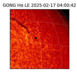 gong - 2025-02-17T04:00:42