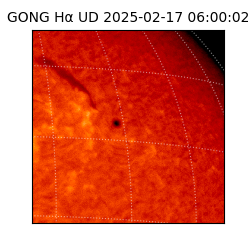 gong - 2025-02-17T06:00:02