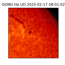 gong - 2025-02-17T08:01:02