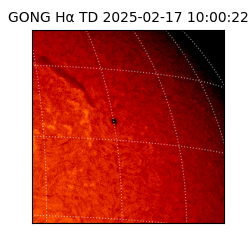 gong - 2025-02-17T10:00:22