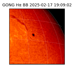 gong - 2025-02-17T19:09:02