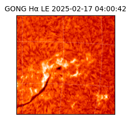 gong - 2025-02-17T04:00:42