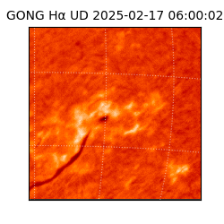 gong - 2025-02-17T06:00:02