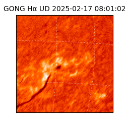 gong - 2025-02-17T08:01:02