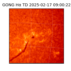 gong - 2025-02-17T09:00:22