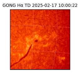 gong - 2025-02-17T10:00:22