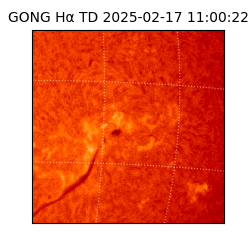 gong - 2025-02-17T11:00:22