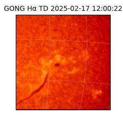 gong - 2025-02-17T12:00:22