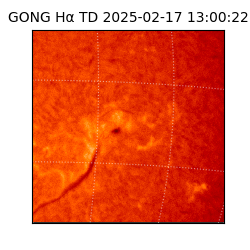 gong - 2025-02-17T13:00:22