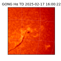 gong - 2025-02-17T16:00:22