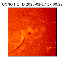 gong - 2025-02-17T17:00:22