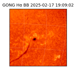 gong - 2025-02-17T19:09:02