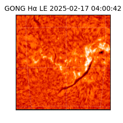 gong - 2025-02-17T04:00:42