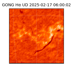 gong - 2025-02-17T06:00:02