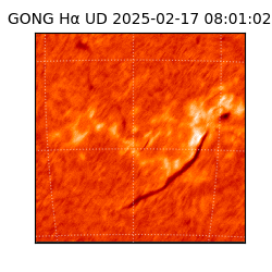gong - 2025-02-17T08:01:02