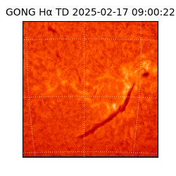 gong - 2025-02-17T09:00:22