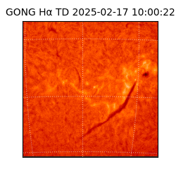 gong - 2025-02-17T10:00:22