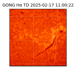 gong - 2025-02-17T11:00:22