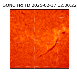 gong - 2025-02-17T12:00:22