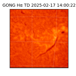 gong - 2025-02-17T14:00:22