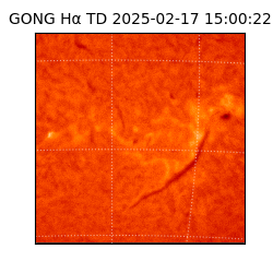 gong - 2025-02-17T15:00:22