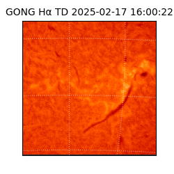 gong - 2025-02-17T16:00:22