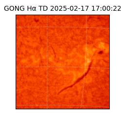 gong - 2025-02-17T17:00:22