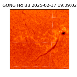 gong - 2025-02-17T19:09:02