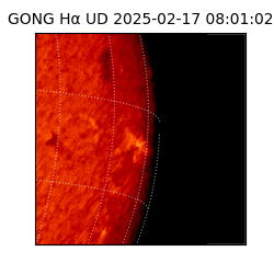 gong - 2025-02-17T08:01:02
