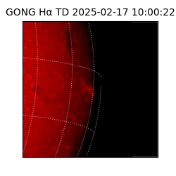 gong - 2025-02-17T10:00:22